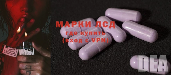 сатива Беломорск
