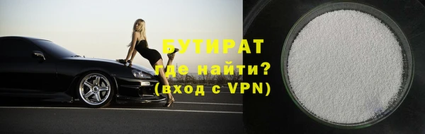 сатива Беломорск