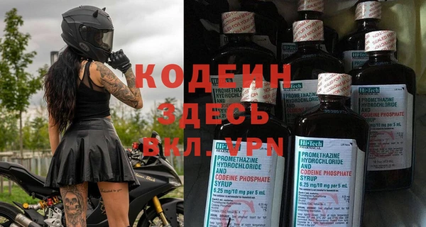сатива Беломорск
