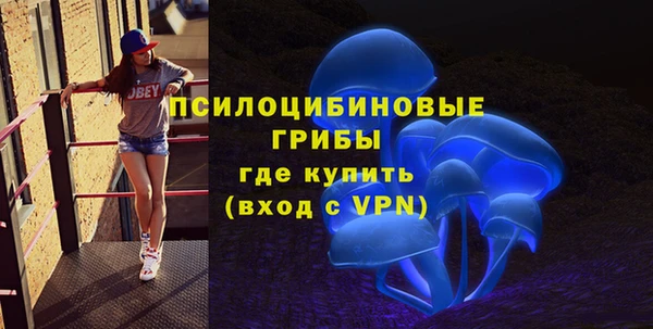 сатива Беломорск