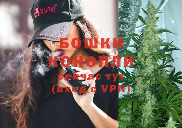 шишки Балабаново